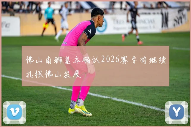 佛山南狮基本确认2026赛季将继续扎根佛山发展